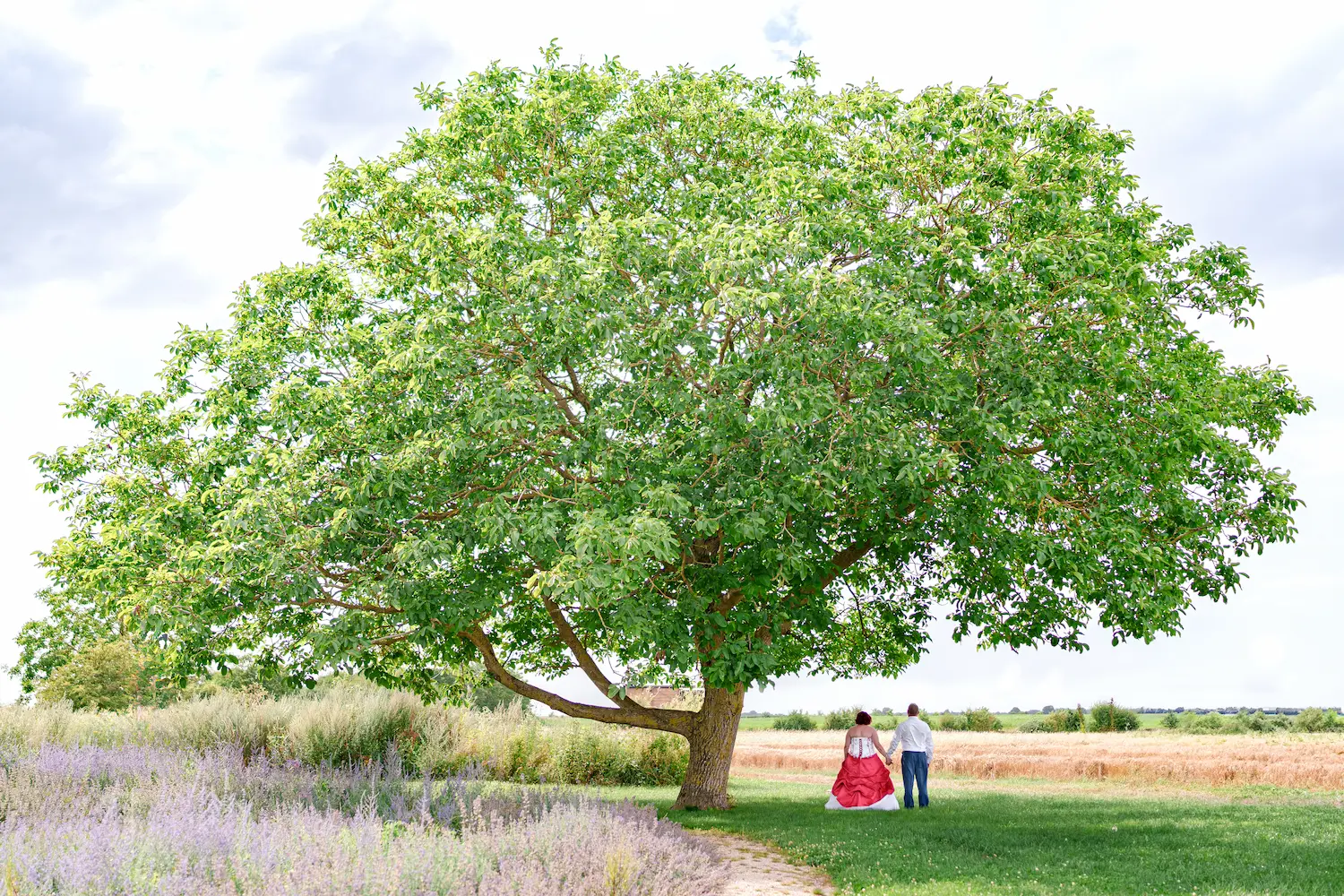 jolie photo prise par un photographe de mariage