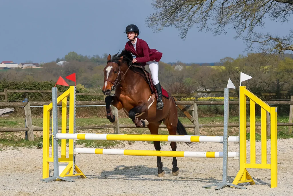 Concours CSO equitation photo d'un concours equitation, cso dans le 89