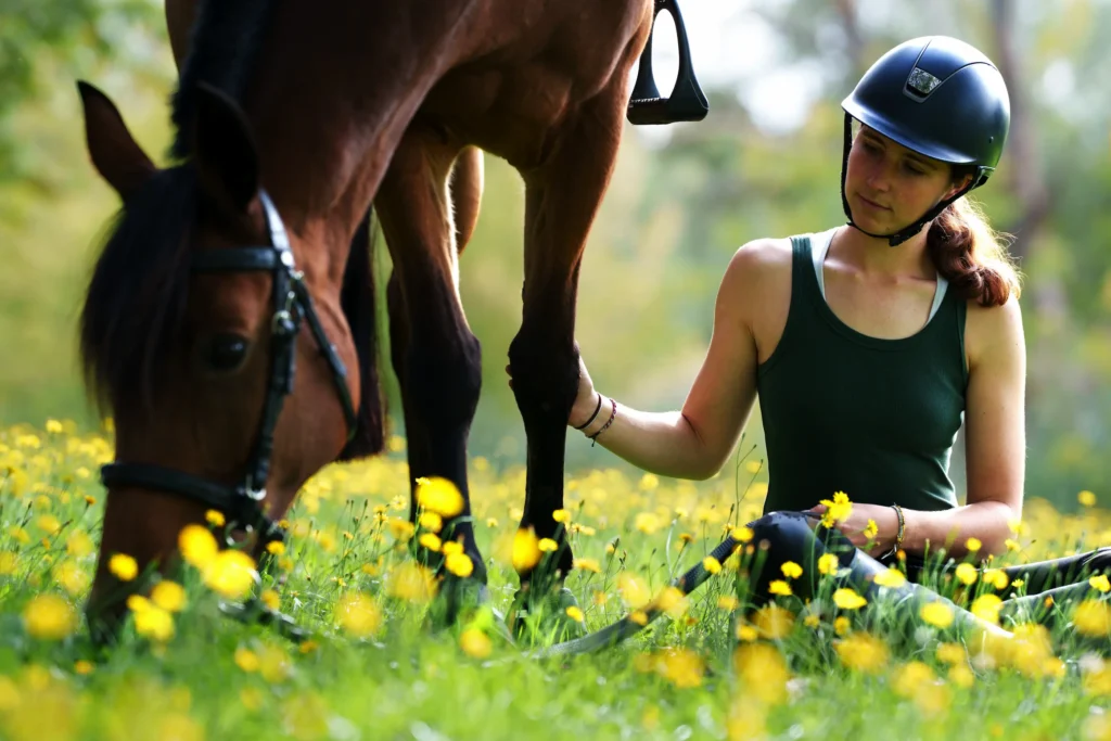 Moment magique à cheval Moment câlin entre cheval et cavalière