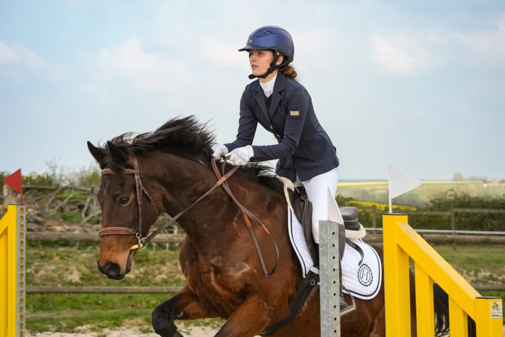 Portrait en concours equestre des portrait vivant, votre cheval mise en avant