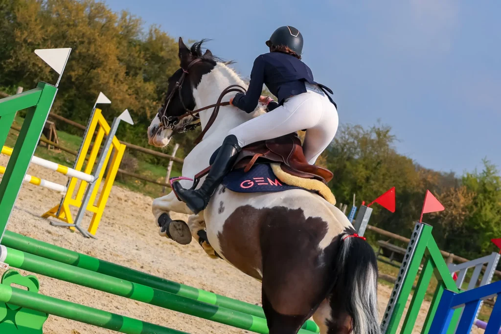 saut a cheval des image équestre dynamique et vivante